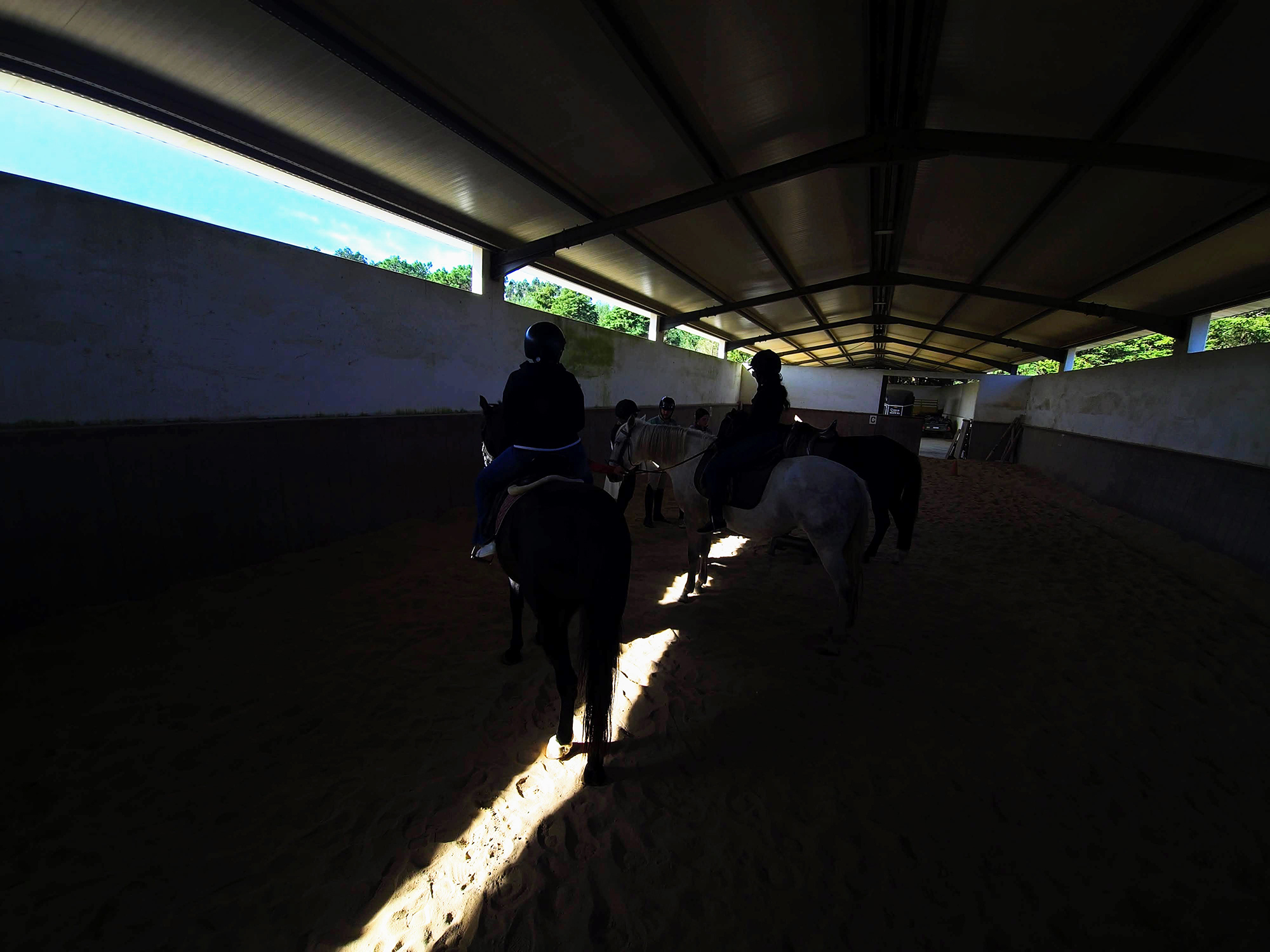 Into the Wild Horseback Riding
